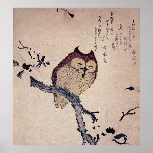Impresión japonesa de Búho Sonriente Cuta (Frente)