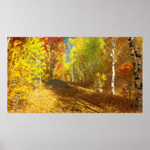 Impresión ligera en disminución