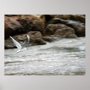 Impresión maestra de Wind