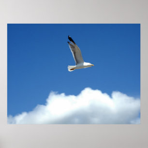 Impresión maestra de Wind