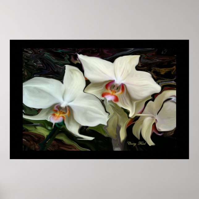 IMPRESIÓN MÁGICA DE ORQUÍN MEDIANOCHE (Frente)