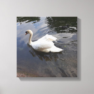 IMPRESIÓN MAJESTA DE LAS CANVAS DE SWAN