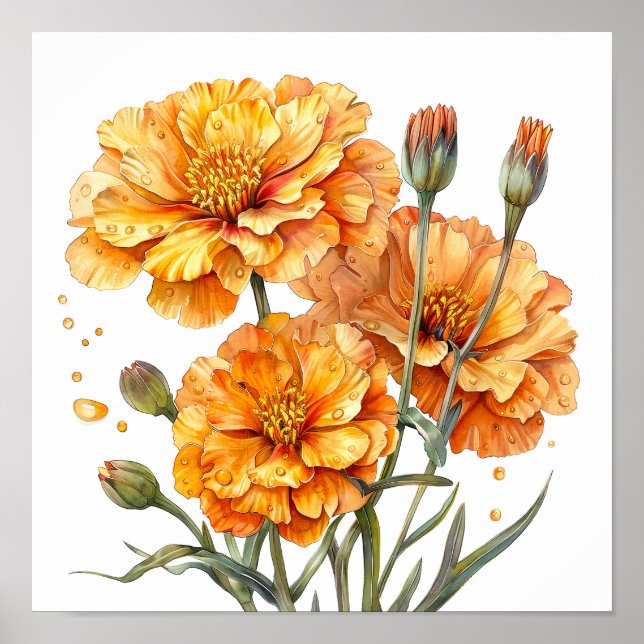 Impresión Marigold, Naranja Flores Arte Pared (Frente)