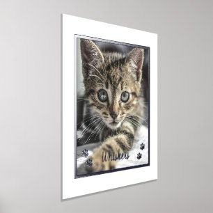 Impresión Metalizada Amantes de mascotas lindas foto de gato personaliz
