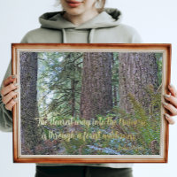 Cita de la naturaleza de John Muir Selva forestal