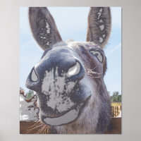 Cómico burro sonriente gris