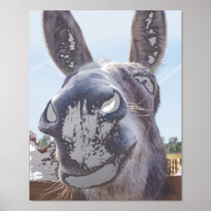 Impresión Metalizada Cómico burro sonriente gris
