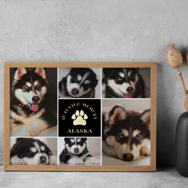 Impresión Metalizada Paw Print Pet In Loving Memory Black Photo Collage (Subido por el creador)