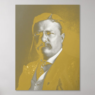 Impresión Metalizada Theodore Roosevelt Teddy Presidente Republicano
