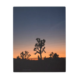 Impresión Metalizado de árboles de Joshua Sunset