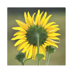 Impresión Metalizado de Halo amarillo