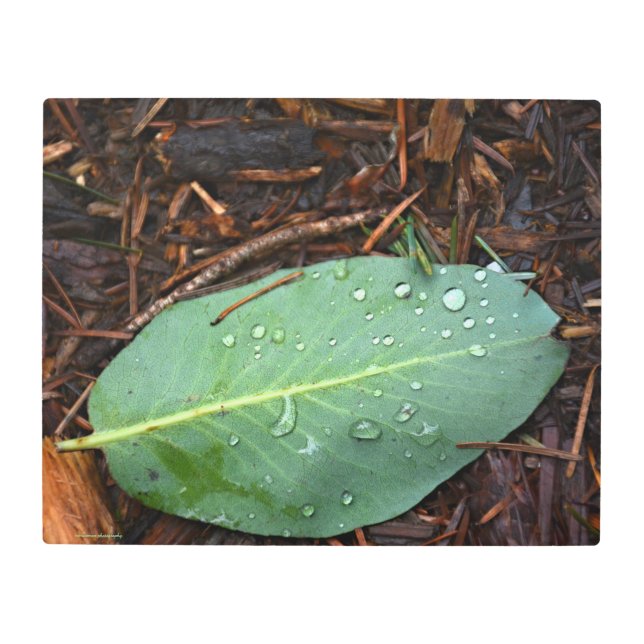 Impresión Metalizado de la hoja dapada (Anverso)