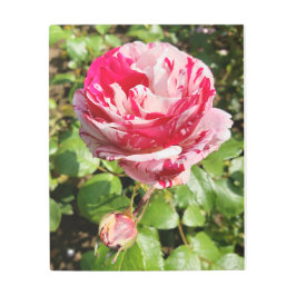 Impresión metalizado de Rosa blanco y rojo enmarañ