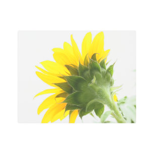 Impresión Metalizado de Sunflower Fuzz