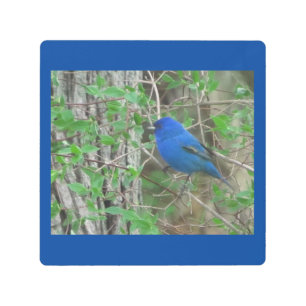 Impresión Metalizado del cielo azul