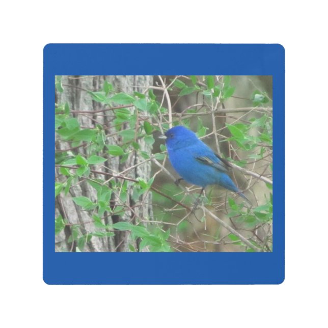 Impresión Metalizado del cielo azul (Anverso)