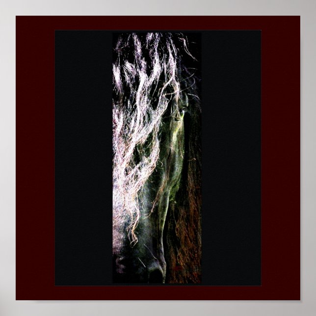 Impresión mística del caballo (Frente)