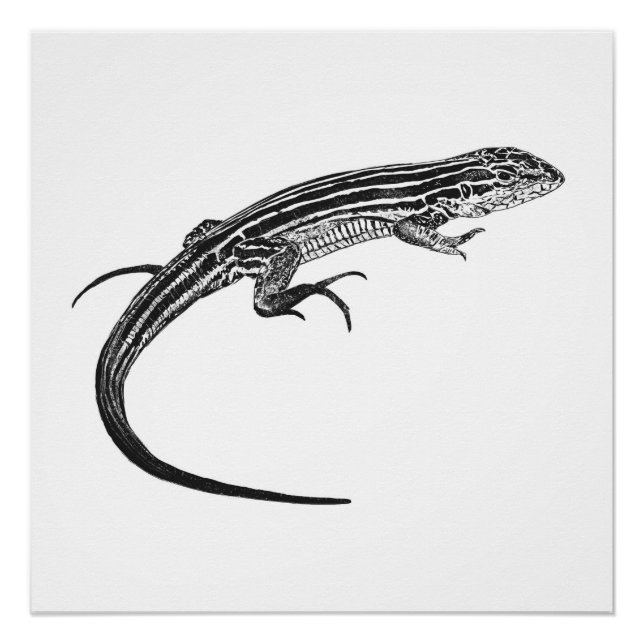 Impresión monocroma de lagarto (Anverso)