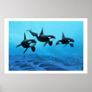 IMPRESIÓN MUNDIAL DE LA BALLENA
