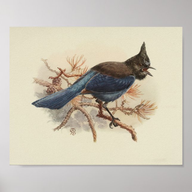 Impresión negra azul de pájaro vintage (Frente)