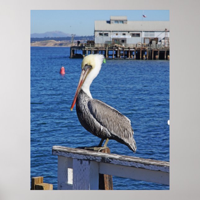 Impresión pelicular (Frente)