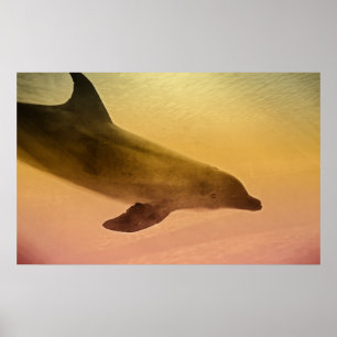 Impresión perezosa de la tarde