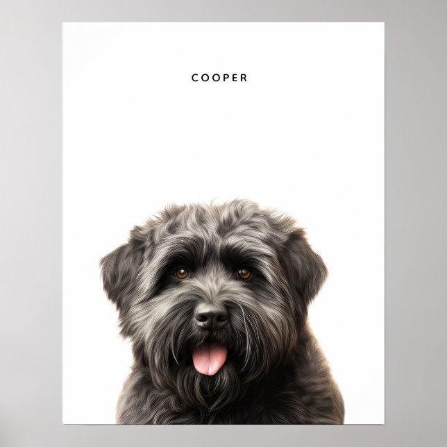 Impresión personalizada Bouvier Des Flandres (Frente)