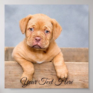 Impresión personalizada de fotos de Poster cuadrad