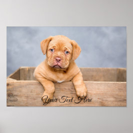 Impresión personalizada de Poster amplio  personal