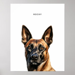 Impresión personalizada malinois en Bélgica