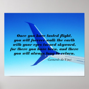 Impresión plana del poster del cielo del vuelo del