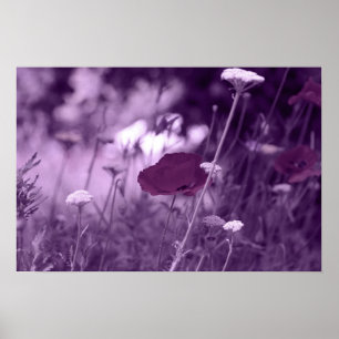 impresión pop-i púrpura