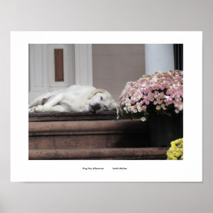 Impresión por la tarde del Día del Perro