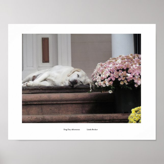 Impresión por la tarde del Día del Perro (Frente)