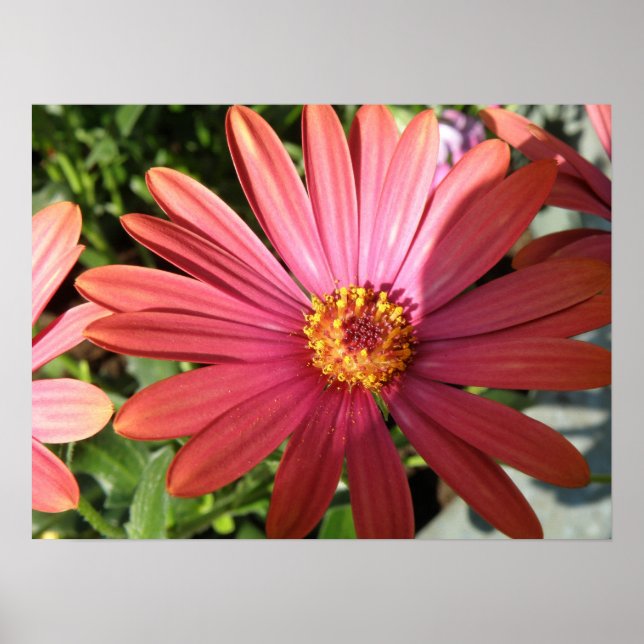 Impresión por lluvia naranja (Frente)