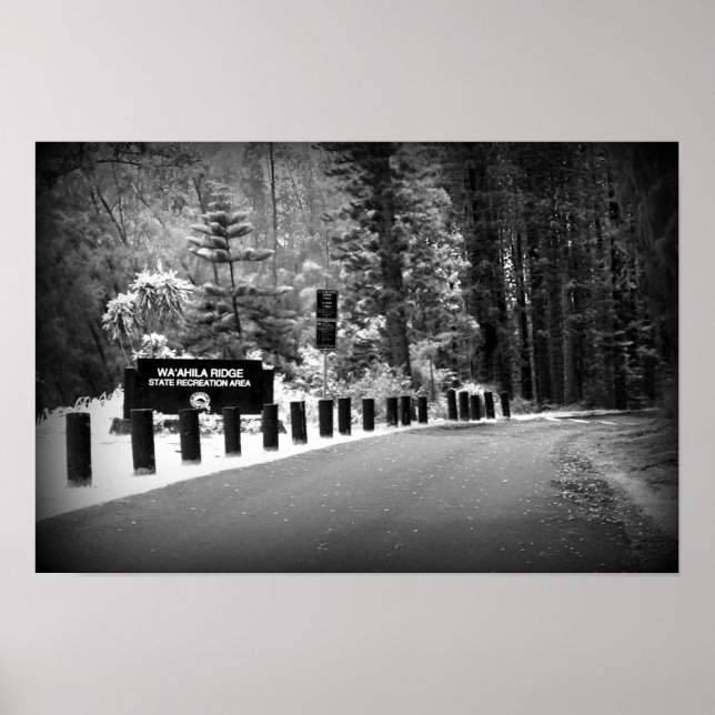 Impresión Poster de 12" x 18" - Wa'ahila Ridge (Frente)