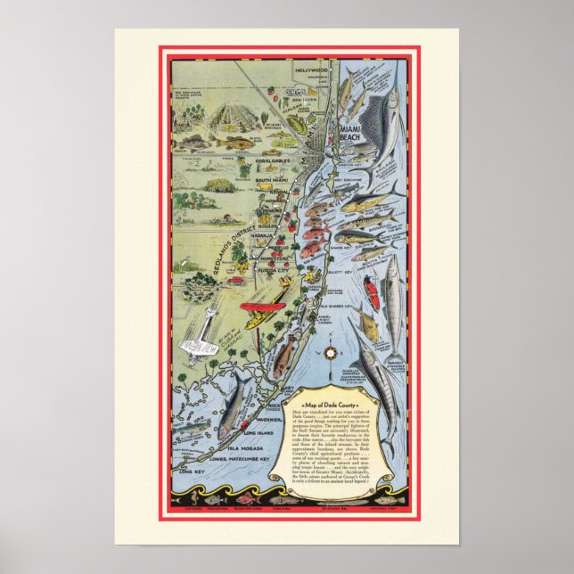 Impresión Poster de 12x18 peces de Florida (Frente)