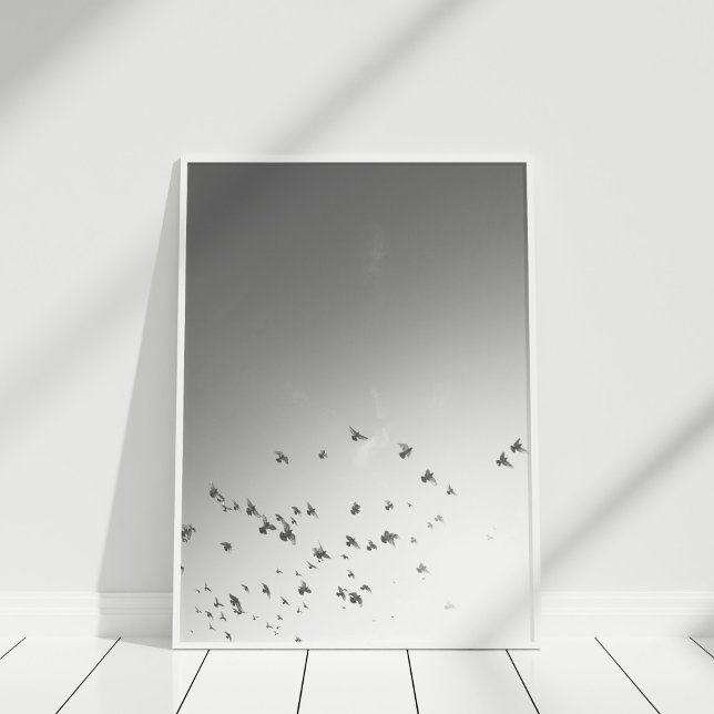 Impresión Poster de aves voladoras (Black and White Flying Birds Poster Print in a white frame.)