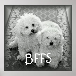 Impresión Poster de perros cortos BFFS