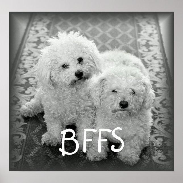 Impresión Poster de perros cortos BFFS (Frente)
