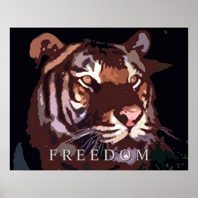 Impresión Poster de tigres de libertad motivaciona (Frente)