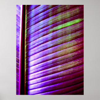 Impresión Poster (hoja de plátano)