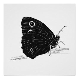Impresión / Póster monocromo de mariposa
