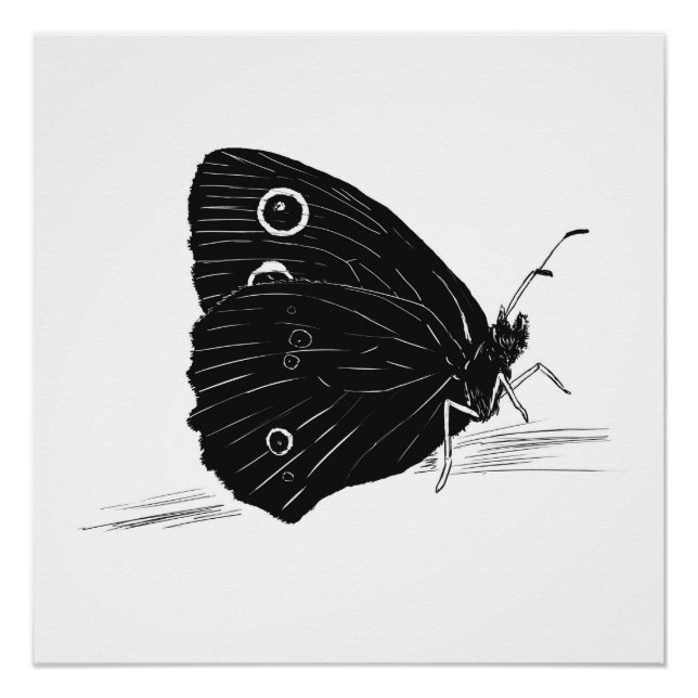 Impresión / Póster monocromo de mariposa (Anverso)