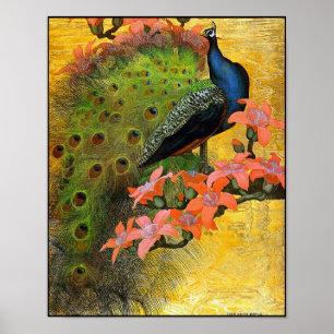 Impresión poster: pavo real azul