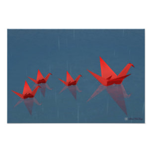 Impresión reservada de la foto del día lluvioso