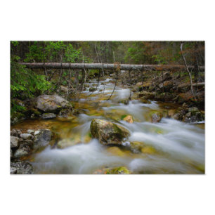 Impresión rocosa de la foto de la cala del bosque
