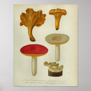 Impresión roja del arte de las setas de Brown