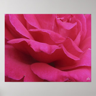 impresión rosa caliente