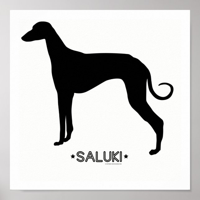 Impresión Saluki (Frente)